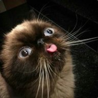 Puffqwe