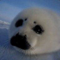 UnknownSeal