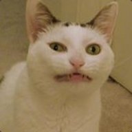 Vammie