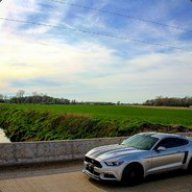 MustangMike