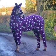 funnyhorse