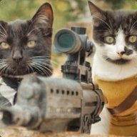 CatGamez