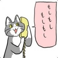 tokochan55