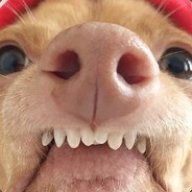 Ceetyzean