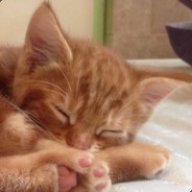 RustSweetRust