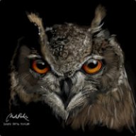 OwlWolfe1