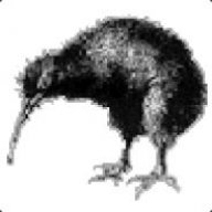 Kiwi