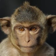 dimadikey000