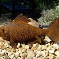 Scrap Fish
