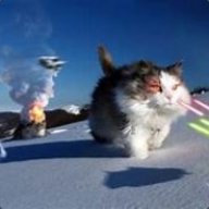 BrianCatSter