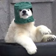 Snowbear95