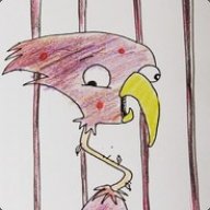 spastic hawk