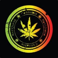 shkiriba_ya