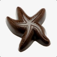 chocolateSTARFISHYx2