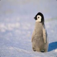 KillerPenguin