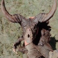 gjdunga