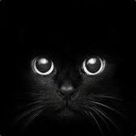 Blackcat
