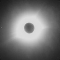 David_TN