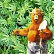 BakedBear