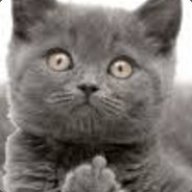cocopufer