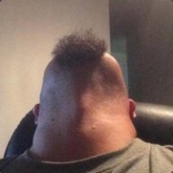 Ant_264