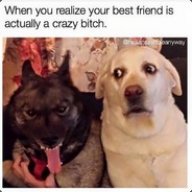 MrBytedk