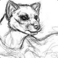 Newmatic_Weasel