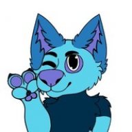 ICEBADGERR