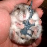 ham